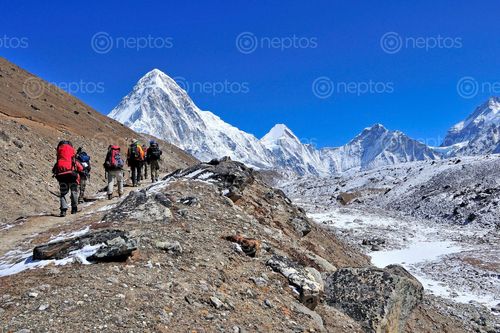 Find  the Image Mount,Pumori.,Tourists,are,heading,Kalapatthar,to,see,Mount,Everest. and other Royalty Free Stock Images of Nepal in the Neptos collection.