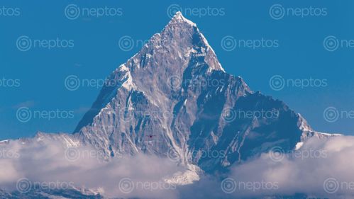 Find  the Image Mount,Fishtail,,Nepal and other Royalty Free Stock Images of Nepal in the Neptos collection.