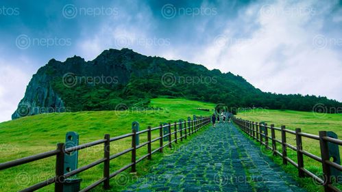 Find  the Image adventure,seongsan,national,park,jeju,island,south,korea  and other Royalty Free Stock Images of Nepal in the Neptos collection.