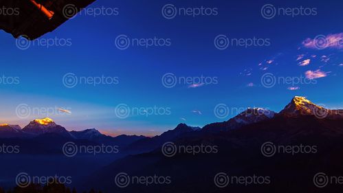 Find  the Image mount,annapurna,south,range,morning,sun,rays,poomhill,nepal  and other Royalty Free Stock Images of Nepal in the Neptos collection.