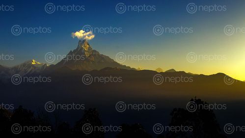 Find  the Image Cloud,Crown,over,the,Mount,Fishtail,,Dhandruk,,Nepal and other Royalty Free Stock Images of Nepal in the Neptos collection.
