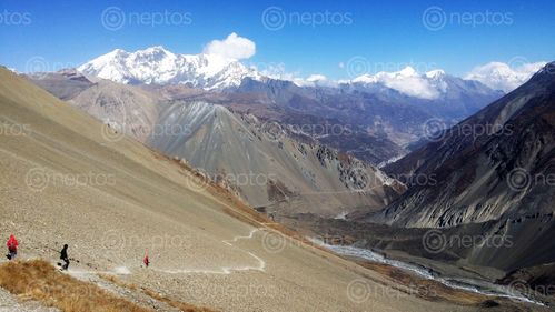 Find  the Image back,tilicho  and other Royalty Free Stock Images of Nepal in the Neptos collection.