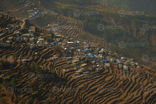 Find  the Image bhotang,village,sindupalchoke  and other Royalty Free Stock Images of Nepal in the Neptos collection.