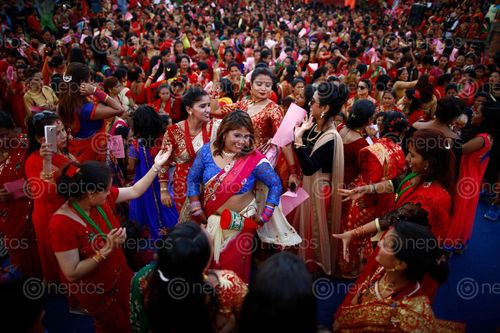 Find  the Image nepalese,hindu,women,dance,sing,celebrate,teej,festival,inside,pashupathinath,temple,kathmandu,nepal,thursday,august,married,unmarried,fast,offering,worship,lord,shiva,marital,happiness,husband,praying,singing,dancing  and other Royalty Free Stock Images of Nepal in the Neptos collection.