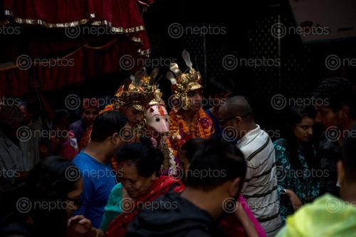 Find  the Image narshimha,jatra,patan  and other Royalty Free Stock Images of Nepal in the Neptos collection.