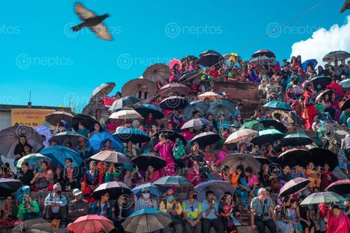 Find  the Image people,waiting,sun,kathmandu,durbar,square,witness,indrajatra,fesival  and other Royalty Free Stock Images of Nepal in the Neptos collection.