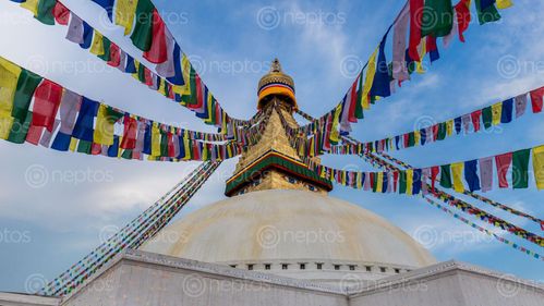 Find  the Image buddhist,stupa,boudha,dominates,skyline,largest,stupas,world,unesco,heritage,site  and other Royalty Free Stock Images of Nepal in the Neptos collection.