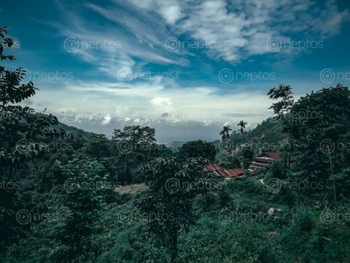 Find  the Image border,area,jhapa,ilam,incredible,scenery  and other Royalty Free Stock Images of Nepal in the Neptos collection.