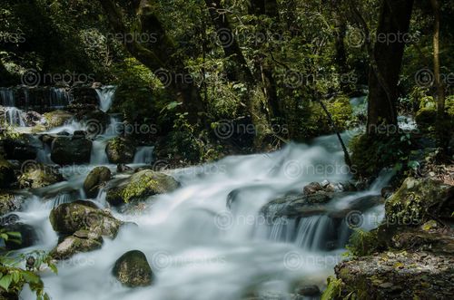 Find  the Image waterfall,muhanpokhari  and other Royalty Free Stock Images of Nepal in the Neptos collection.
