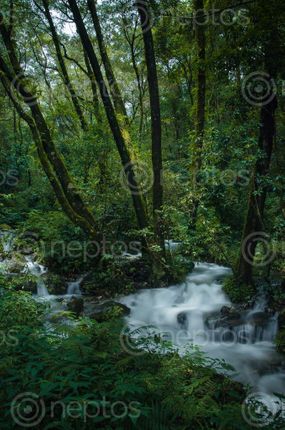 Find  the Image wallapaper,waterfall  and other Royalty Free Stock Images of Nepal in the Neptos collection.