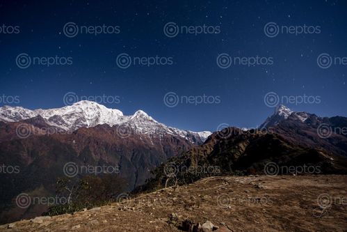 Find  the Image mardi,himal,trail,trek,recently,emerged,trekking,route,offers,superficial,view,annapurna,mountain,range,base,camp,stands,4500m,awesome,perspectives,south,left,side,7219m,himchuli,6441m,machhapuchhre,6993m,5587m  and other Royalty Free Stock Images of Nepal in the Neptos collection.