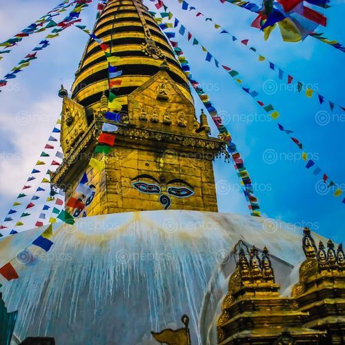 Find  the Image swayambhunath,~,symbol,peace  and other Royalty Free Stock Images of Nepal in the Neptos collection.