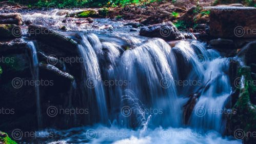 Find  the Image small,water,fall,godawari,botanical,garden  and other Royalty Free Stock Images of Nepal in the Neptos collection.