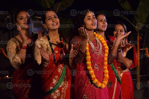 Find  the Image girls,bhailo,tihar,festival  and other Royalty Free Stock Images of Nepal in the Neptos collection.
