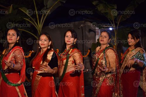 Find  the Image girls,playing,bhailo,tihar  and other Royalty Free Stock Images of Nepal in the Neptos collection.