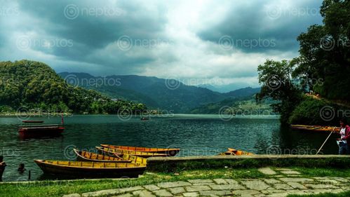Find  the Image boat,parking,begnas,lake,pokhara  and other Royalty Free Stock Images of Nepal in the Neptos collection.