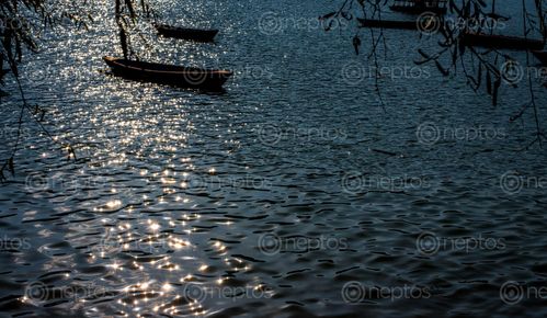 Find  the Image fewa,lake,boats,reflection,sunlight  and other Royalty Free Stock Images of Nepal in the Neptos collection.
