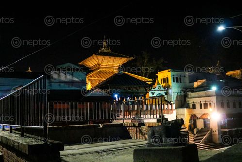 Find  the Image pashupatinath,temple  and other Royalty Free Stock Images of Nepal in the Neptos collection.
