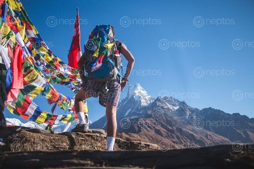 Find  the Image tourist,standing,front,nepal,flag,mardi,himal  and other Royalty Free Stock Images of Nepal in the Neptos collection.