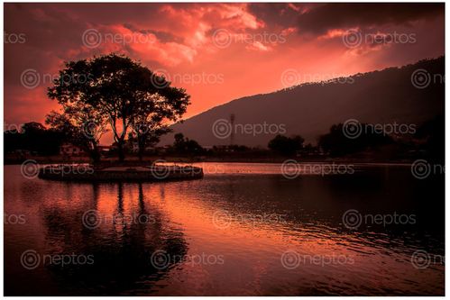 Find  the Image sunset,lake,taudaha,kathmandu,kritipur  and other Royalty Free Stock Images of Nepal in the Neptos collection.