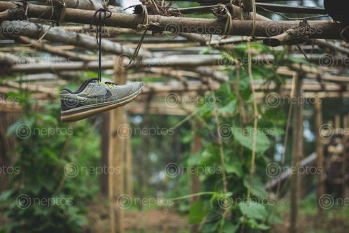 Find  the Image shoes,hanging,top  and other Royalty Free Stock Images of Nepal in the Neptos collection.