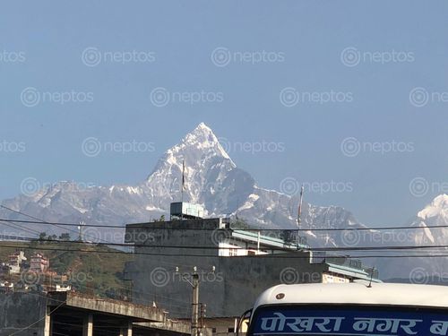Find  the Image mtannapurna,view,pokhara,shot,iphonex  and other Royalty Free Stock Images of Nepal in the Neptos collection.