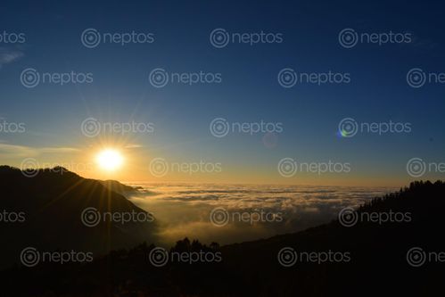 Find  the Image early,morning,sunrise,view,poonhillnepal  and other Royalty Free Stock Images of Nepal in the Neptos collection.