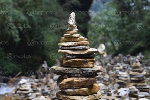 Find  the Image pile,stone,ghandruk  and other Royalty Free Stock Images of Nepal in the Neptos collection.