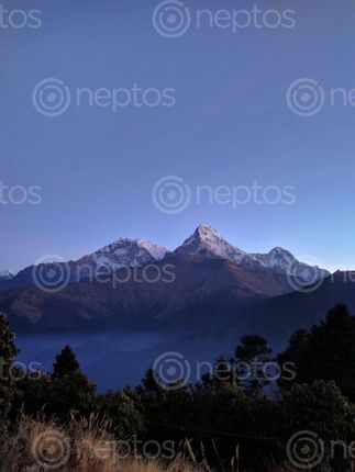 Find  the Image view,poonhill,vibes,level  and other Royalty Free Stock Images of Nepal in the Neptos collection.