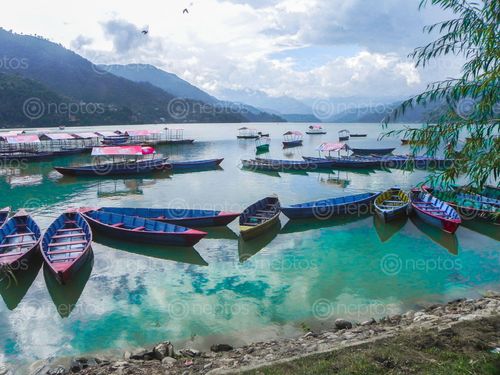 Find  the Image phewa,lake,pokhara,colorful,boats,moody,sky  and other Royalty Free Stock Images of Nepal in the Neptos collection.