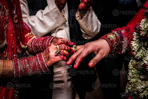 Find  the Image ring,ceremony,holy,hindu,wedding,bride,puts,groom,marriage,promising,eternal,togetherness  and other Royalty Free Stock Images of Nepal in the Neptos collection.