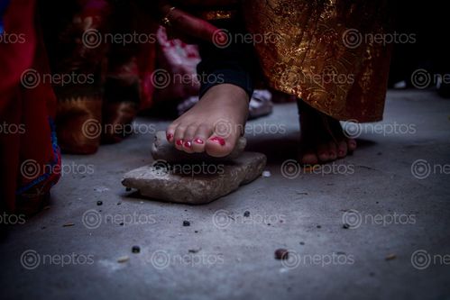 Find  the Image newari,girl,performing,rituals  and other Royalty Free Stock Images of Nepal in the Neptos collection.