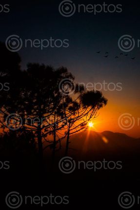 Find  the Image sunset,view,kathmandu  and other Royalty Free Stock Images of Nepal in the Neptos collection.
