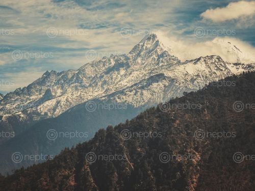 Find  the Image featured,photo,lantang,himal,captured,sahan,dangol,lies,rasuwa,nepal  and other Royalty Free Stock Images of Nepal in the Neptos collection.