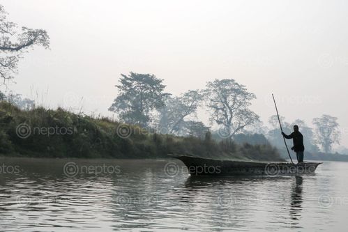 Find  the Image chitwan,national,park  and other Royalty Free Stock Images of Nepal in the Neptos collection.