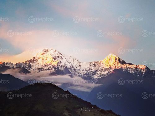 Find  the Image nepal,poor,country,silver,hills,gold,sun,spreads,love,✌️,#nepal🇳🇵,date,oct,time,#annapurnacircuit  and other Royalty Free Stock Images of Nepal in the Neptos collection.