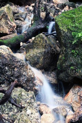 Find  the Image freebie,cascade,rooted,delirium  and other Royalty Free Stock Images of Nepal in the Neptos collection.