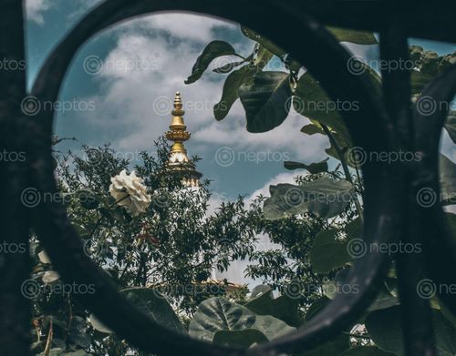 Find  the Image pilot,baba,temple,perspective  and other Royalty Free Stock Images of Nepal in the Neptos collection.