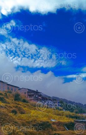 Find  the Image salleri,solukhumbu  and other Royalty Free Stock Images of Nepal in the Neptos collection.