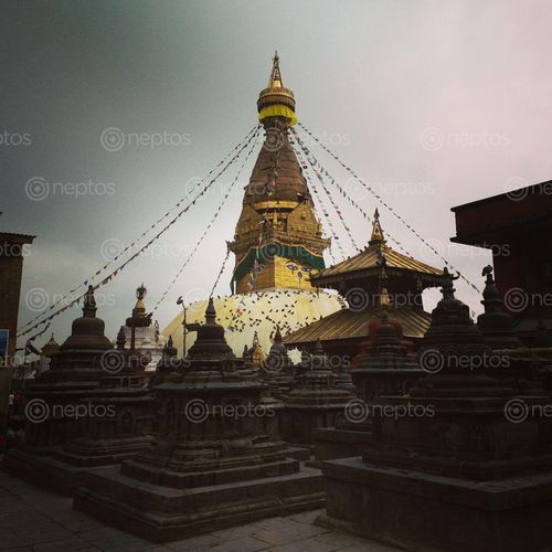 Find  the Image swoyambhu,nath,temple,#monkey_temple  and other Royalty Free Stock Images of Nepal in the Neptos collection.