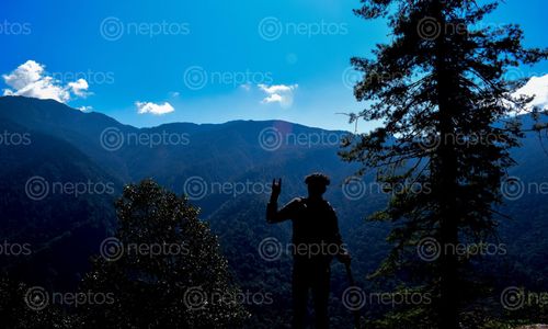 Find  the Image trek,langtang,nepal  and other Royalty Free Stock Images of Nepal in the Neptos collection.