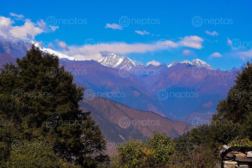 Find  the Image view,langtang,mountain,nepal  and other Royalty Free Stock Images of Nepal in the Neptos collection.