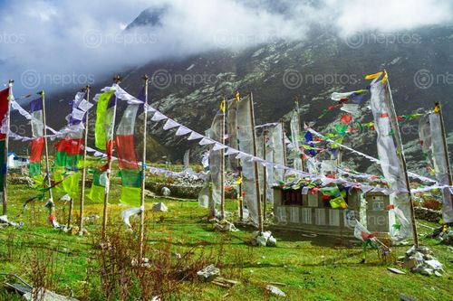 Find  the Image memories,langtang,landslide  and other Royalty Free Stock Images of Nepal in the Neptos collection.