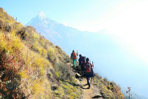 Find  the Image travelling,mount,machhapurchha  and other Royalty Free Stock Images of Nepal in the Neptos collection.