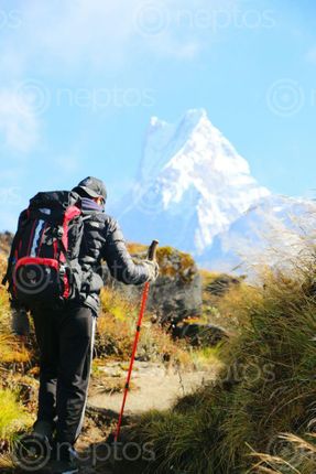 Find  the Image move,step,nature  and other Royalty Free Stock Images of Nepal in the Neptos collection.