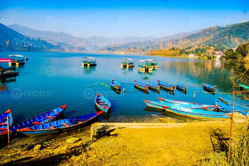 Find  the Image beautiful,pokhara,lake,side  and other Royalty Free Stock Images of Nepal in the Neptos collection.