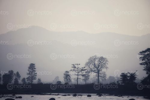 Find  the Image time,shoot,evening,morning  and other Royalty Free Stock Images of Nepal in the Neptos collection.