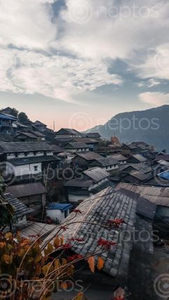 Find  the Image dusk,bhujung,village,lamjung  and other Royalty Free Stock Images of Nepal in the Neptos collection.
