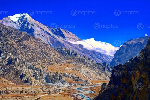 Find  the Image manang's,landscape,mountain  and other Royalty Free Stock Images of Nepal in the Neptos collection.