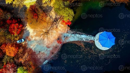 Find  the Image colors,autumn,photo,naejangsan,national,park,south,korea  and other Royalty Free Stock Images of Nepal in the Neptos collection.